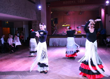 Benefiční ples 2017