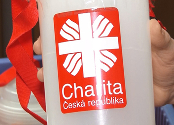 Tříkrálová sbírka v pořadu Plzeň v kostce
