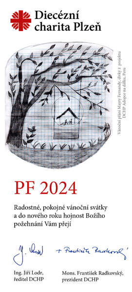 PF_2024_DCHP-strom
