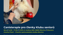 Výzva k dobrovolnictví – canisterapie pro členky Klubu seniorů v Blovicích