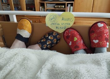 Domácí hospic v Klatovech? Začínáme. A hledáme lékaře, kteří budou u toho