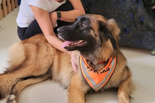 Dobrovolnické centrum Farní charity Cheb pomáhá díky Tříkrálové sbírce na plné obrátky